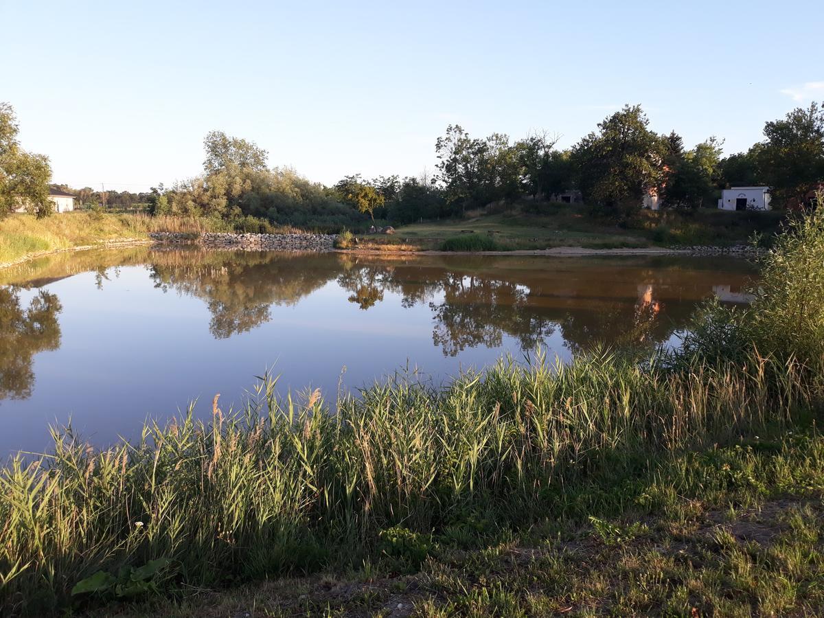 Berunka Hotel Brod nad Dyji Екстериор снимка